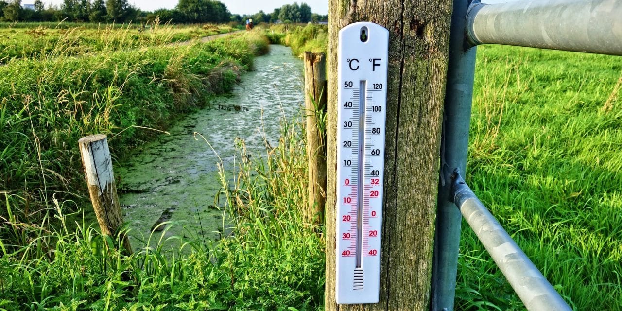 BBC micro:bit: Thermometer